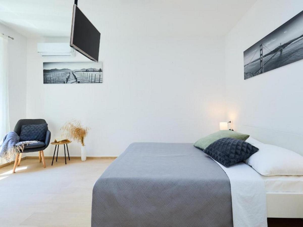 Apartment Palm Tree *